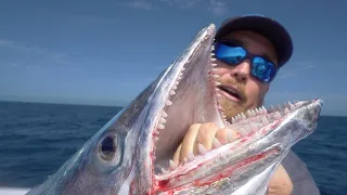 Fishing & Camping the Dry Tortugas with a Professional Chef! (Catch and Cook)