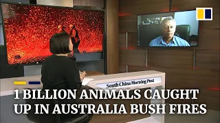 Australia bush fires have affected over 1 billion animals, pushing many toward extinction