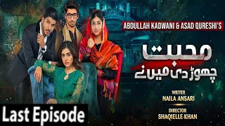 Mohabbat Chor Di Maine Last Episode 51 When And Where You Can Watch? Hajra Yamin Telling Details