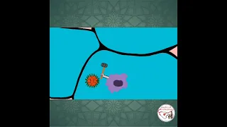 🦠 INFLUENZA (flu) VIRUS ANIMATION | PNEUMONIA #shorts #medicine #infectiousdisease #pediatrics