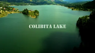 Colibita Romania l 4K