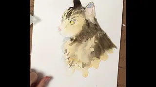 portrait of a Maine Coon Cat in Watercolor