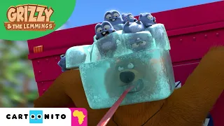 Freezing Problems | Grizzy & The Lemmings | Funny Compilation for Kids | Cartoonito Africa