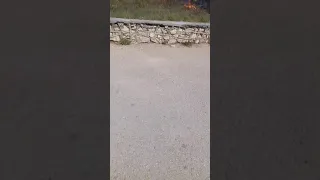 Пожар в парке Победы Севастополь(8)