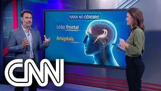 Médico explica o que acontece com o cérebro durante ataques de raiva - Correspondente Médico