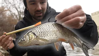 Deadbeat fishing for pike I River