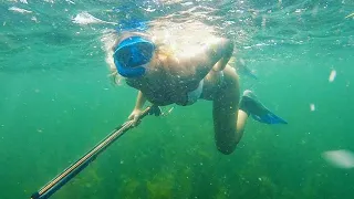 Underwater SPEAR FISHING For GIANT Fish!!! (Underwater Footage!!)