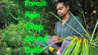 Forest Rain Drop Sound Bath