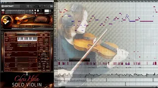 Chris Hein Solo Violin - Live Performance Original