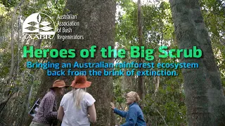 Heroes of the Big Scrub: restoring rainforest in Australia.