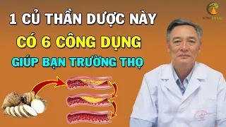 Giáo Sư Tiết Lộ 6 Tác Dụng Kỳ Diệu Của Củ Ráy Giúp Bạn Sống Trường Thọ (ÍT AI BIẾT)