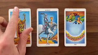 Stop overreacting in any situation! 25 May 2021 Your Daily Tarot Reading with Gregory Scott