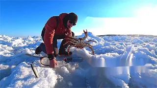 在 冰 上 抓 螃 蟹 ！