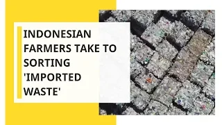 WION Your Story: Indonesian farmers take to sorting 'imported waste'