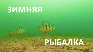 Зимняя рыбалка. Подводная съёмка.