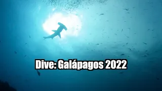 Dive: Galápagos 2022