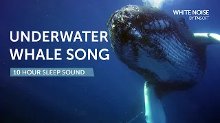 Underwater Whale Song Ambience Sleep Sound - 10 Hours - Black Screen