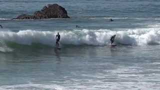 Surfing Leo Carillo