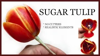 How to Make a SUGAR TULIP: NO CUTTERS, REALISTIC Elements Sugar Flower Tutorial