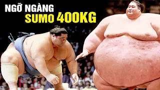 10 Bí Mật Đằng Sau Nghề Sumo Khiến Mọi Người Sửng Sốt: Phụ Nữ Nhật Khao Khát Lấy Các Võ Sĩ Sumo