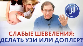 Слабые шевеления раз в 2 часа в 28 недель. Что сделать: КТГ, УЗИ или доплер? Отвечает Гузов И.И.