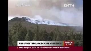 Пожар сжег виноградники в ЮАР
