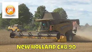 Harvest 2019 | New Holland CX8.90 harvesting barley