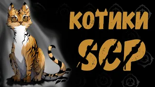 Котики SCP