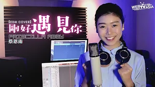 李玉剛【剛好遇見你】EDM Cover ( 蔡恩雨 Priscilla Abby )