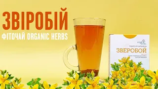 Фіточай Звіробій Organic Herbs. Корисні властивості та застосування Звіробою