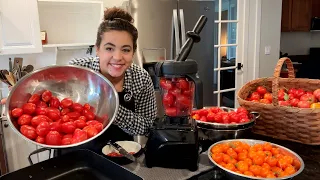 Making Tomato Paste and Garden to Table Cooking!