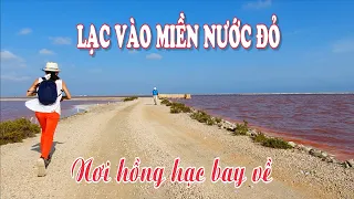 KỲ LẠ CÁNH ĐỒNG MUỐI ĐỎ AU Ở MIỀN NAM NƯỚC PHÁP | DU LỊCH KHÁM PHÁ THÔN QUÊ NƯỚC PHÁP|