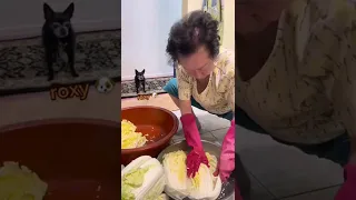 How My Korean Grandma Makes Kimchi Part 1🥬 #shorts