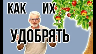 КАК УДОБРЯТЬ плодовые деревья / Схема удобрения по сезонам / Игорь Билевич