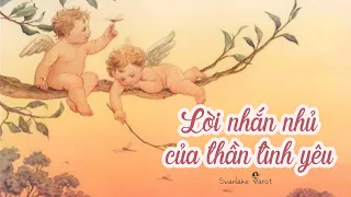 Lời nhắn nhủ từ thần tình yêu đến bạn ngay lúc này || Swanlake Tarot