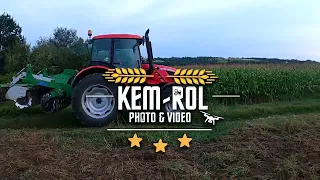 Talerzowanie Zetor I Tolmet W Akcji🔥🔥 KEM-ROL & AGRO-TEAM SKOŁYSZYN