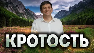 Кротость