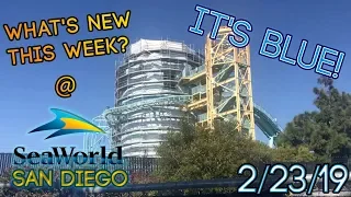 Journey to Atlantis is BLUE?! | What's New at SeaWorld San Diego This Week? 2/23/19