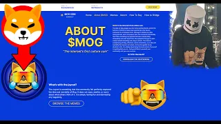 MOG COIN - THE NEXT SHIBA INU?