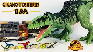 Siêu khủng long dài 1 mét siêu to khổng lồ Giganotosaurus Super Colossal Jurassic World Dominion mới