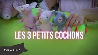 Les 3 Petits Cochons - Céline Anim'