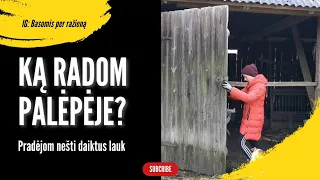 Ką radom palėpėje? Pradėjom kraustyt daiktus iš namo. Kas skanaus ant krosnies pietums?