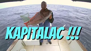 KRUNAŠ KAPITALAC OD 13.5 KG! Živa lignja + Zoka