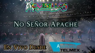 Banda Cuisillos - No Señor Apache ( En Vivo Desde El Auditorio Telmex ) 2021