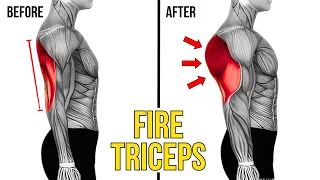 20 BEST Exercises for TRICEPS | Workout For BIGGER Triceps