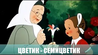 Цветик - семицветик. Мультфильм. 1948г.