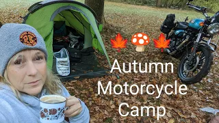 Autumn Solo Motorcycle Camping in Savernake Forest.