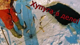 Рыбалка на хапуги в Сибирских реках!!! Рыбалка 2020!!! Супер уловистая снасть "ХАПУГА" в деле!!!