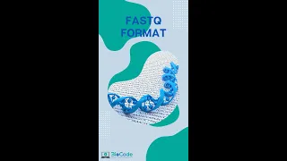 What is FASTQ Format