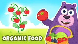 What is organic food | Good Habits | Moral Stories | Polly Olly